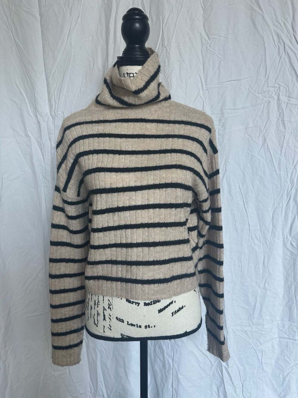 H&M Ribbed Turtleneck Sweater in Beige and Navy Stripe
